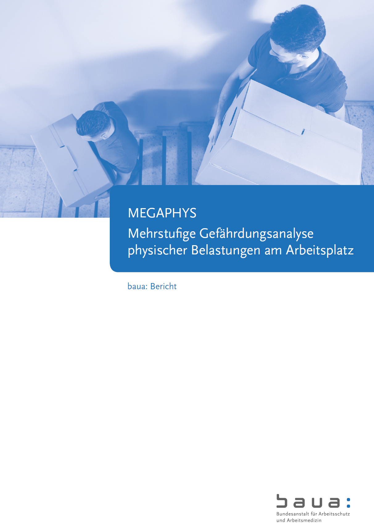 MEGAPHYS - Mehrstufige Gefährdungsanalyse physischer Belastungen am Arbeitsplatz (Band 1)