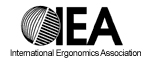 International Ergonomics Association (IEA)